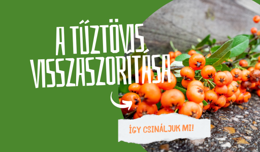 A tűztövis visszaszorítása