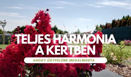 Harmóniát építünk kertjébe!